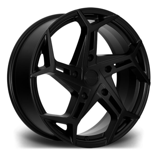 RTV - Satin Black